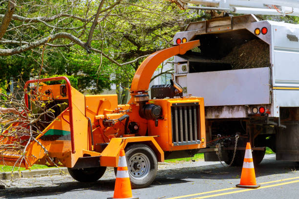 Best Tree Mulching  in Dogtown, CA